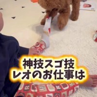 靴下を脱げないときは…