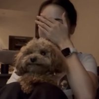 真剣な表情の犬