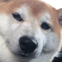 「病院に行くよ」