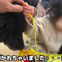 叩かれちゃった！！