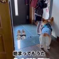 小学生の娘が学校に…