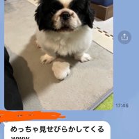 おもちゃ