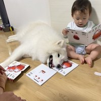 絵本