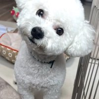 ママが撮ったポテトくん2