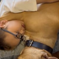 本当の兄弟みたい