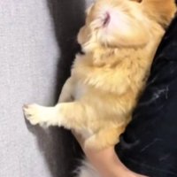 「人生何週目？」