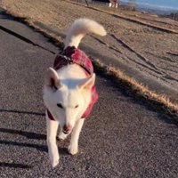 「病院じゃなくてよかった」