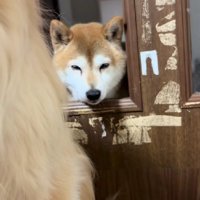 「監督不行届です…」