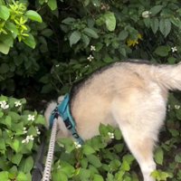 ちょっぴりドジな一面も♡