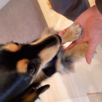 紬ちゃんのおねだり5