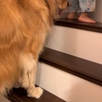 階段を登る男の子とラビーくん