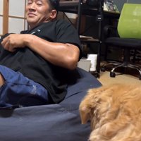 きんちゃんと飼い主さんのやり取り8