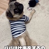話を聞くうめちゃん