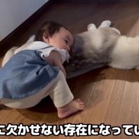 かけがえのない家族に