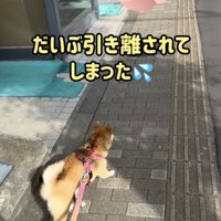 「待ってー！！」