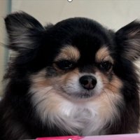 遠くを見つめて