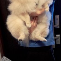 抱っこ