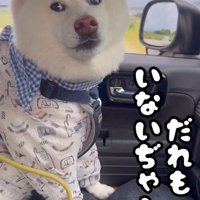 「誰もいないじゃん…」