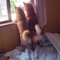 後ろ姿にもキュン♡