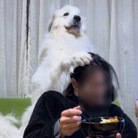 あまりの圧に人間敗北