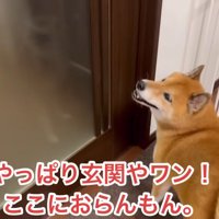 見当違いの場所を探しに行く気満々