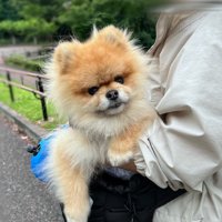 抱っこ