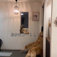 「お姉ちゃん帰ってきた！！」