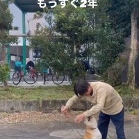 ぽんた君の変化3