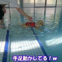 足がつかない場所に連れて行くと…