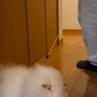 もう一度方向転換
