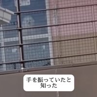 ガラス越しに小さく写る犬の姿