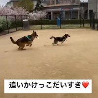 とっても楽しそう♪