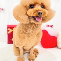 王道スタイルにも挑戦！！