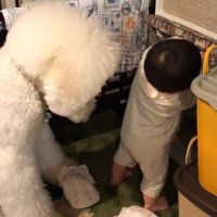 リクちゃんが背後で…