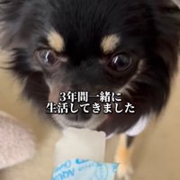絆が育まれていく