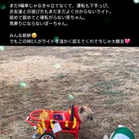 車椅子のライトくんとお友達5