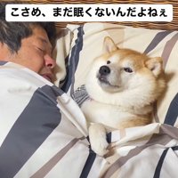 全然眠たくない！