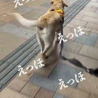 ママさんのお迎えに来たレオンくん5