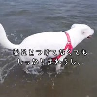 たくましく成長！！