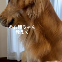 助けを求める暖くん