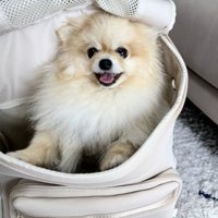 今ではこんなに笑顔