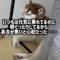 部屋の隅でぐったり