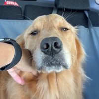 「大丈夫？」と聞いたら…