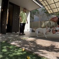 赤ちゃんに駆け寄る犬1