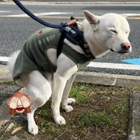 変わらない