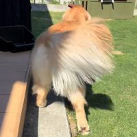 福ちゃんが咥えていたのは…