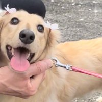 笑顔のまろんちゃん2