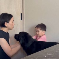 「ママ、怒らないで」
