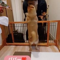 「おかえり」のチュー