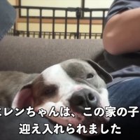 ずっとの家族が決定♡
